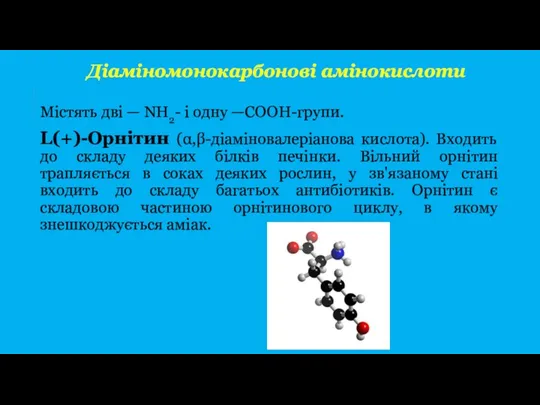 Містять дві — NH2- і одну —СООН-групи. L(+)-Орнітин (α,β-діаміновалеріанова кислота).