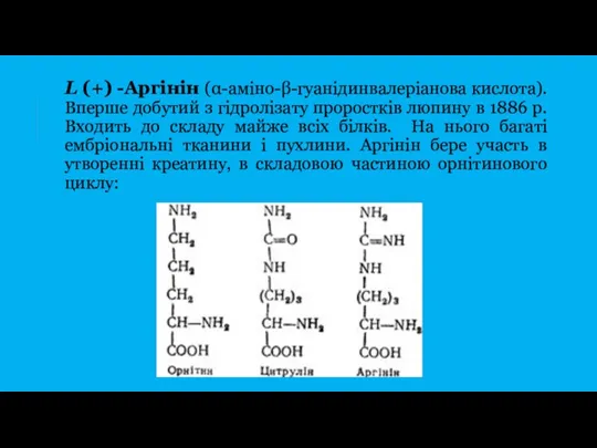 L (+) -Аргінін (α-аміно-β-гуанідинвалеріанова кислота). Вперше добутий з гідролізату проростків