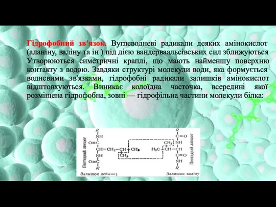 Гідрофобний зв'язок. Вуглеводневі радикали деяких амінокислот (аланіну, валіну та ін