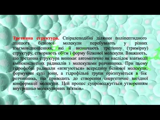 Третинна структура. Спіралеподібні ділянки поліпептидного ланцюга білкової молекули перебувають у