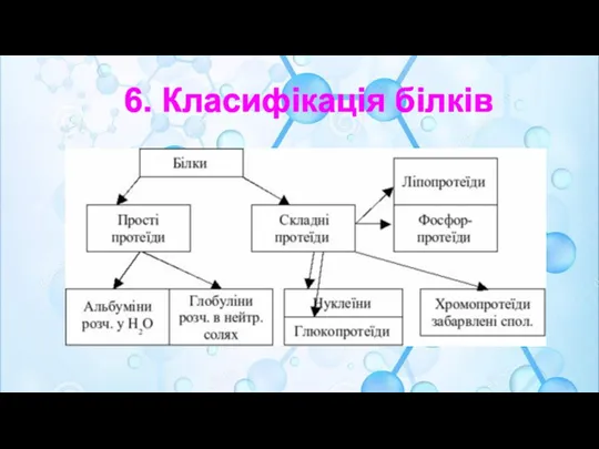 6. Класифікація білків