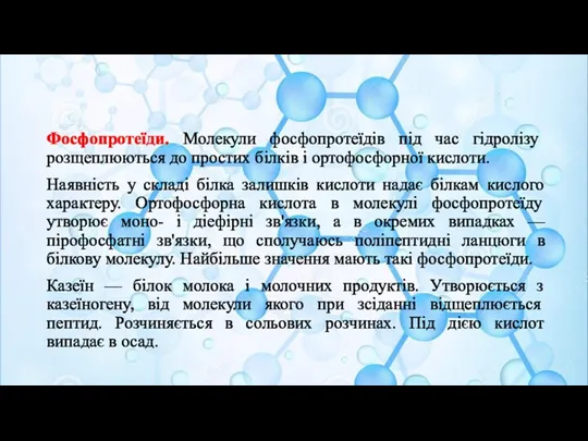 Фосфопротеїди. Молекули фосфопротеїдів під час гідролізу розщеплюються до простих білків