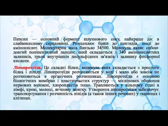 Пепсин — основний фермент шлункового соку, найкраще діє в слабкокислому