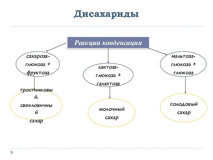 Дисахариды Реакции конденсации сахароза- глюкоза + фруктоза лактоза- глюкоза +