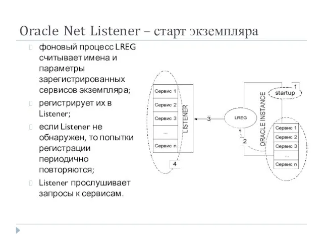 Oracle Net Listener – старт экземпляра фоновый процесс LREG считывает