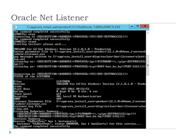 Oracle Net Listener