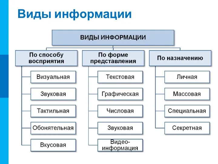 Виды информации