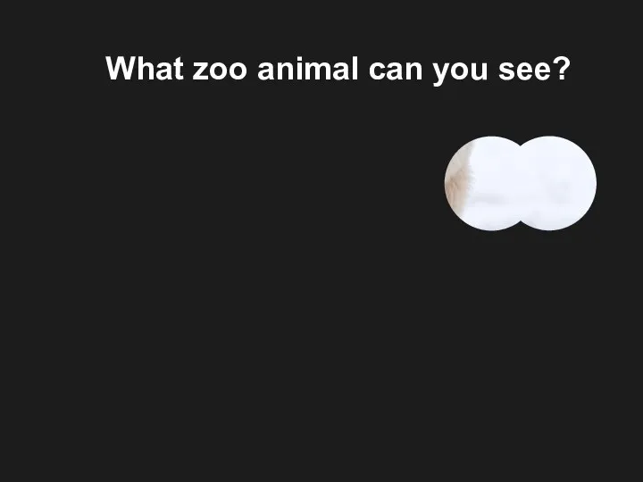 What zoo animal can you see?