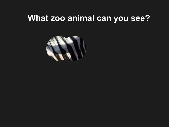 What zoo animal can you see?