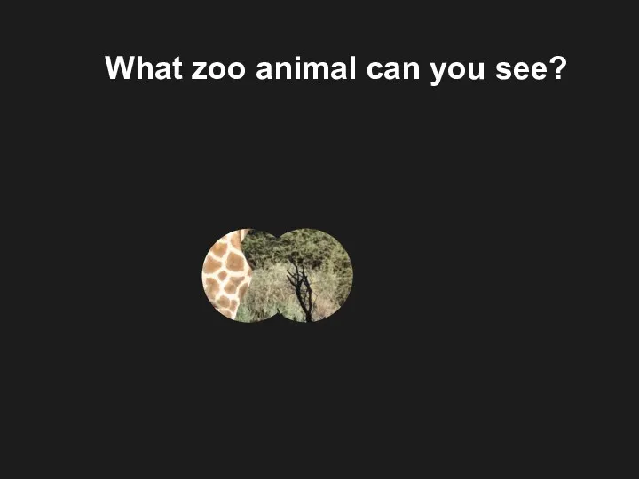 What zoo animal can you see?