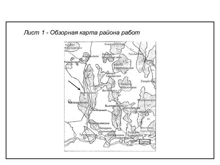 Лист 1 - Обзорная карта района работ