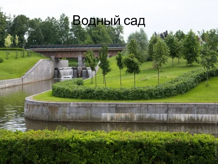 Водный сад