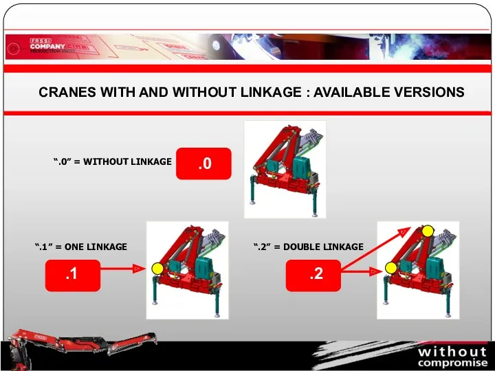 CRANES WITH AND WITHOUT LINKAGE : AVAILABLE VERSIONS .0 .1