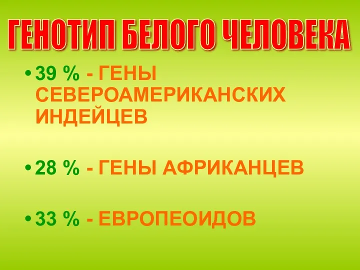 39 % - ГЕНЫ СЕВЕРОАМЕРИКАНСКИХ ИНДЕЙЦЕВ 28 % - ГЕНЫ АФРИКАНЦЕВ 33 %