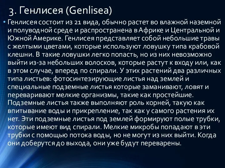 3. Генлисея (Genlisea) Генлисея состоит из 21 вида, обычно растет