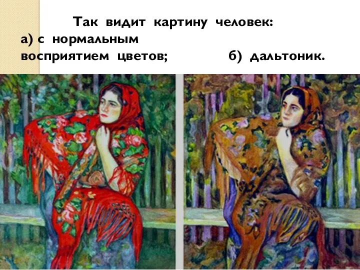 Так видит картину человек: а) с нормальным восприятием цветов; б) дальтоник.