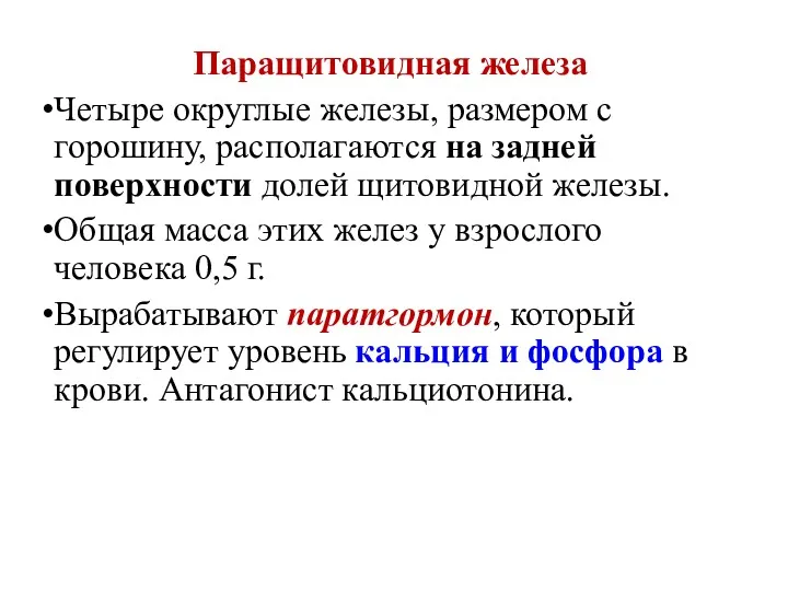 Паращитовидная железа Четыре округлые железы, размером с горошину, располагаются на