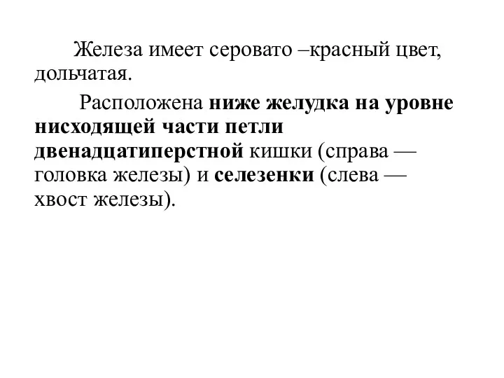 Железа имеет серовато –красный цвет, дольчатая. Расположена ниже желудка на