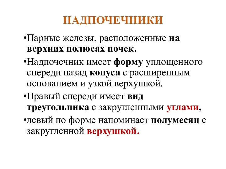 НАДПОЧЕЧНИКИ Парные железы, расположенные на верхних полюсах почек. Надпочечник имеет