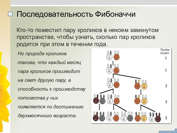 Кто-то поместил пару кроликов в некоем замкнутом пространстве, чтобы узнать,