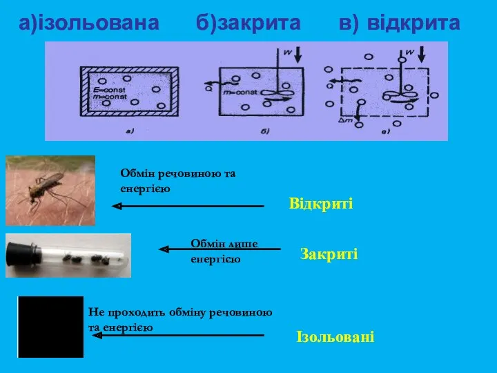 Відкриті Закриті Ізольовані Не проходить обміну речовиною та енергією Обмін речовиною та енергією