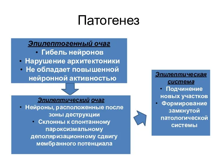 Патогенез