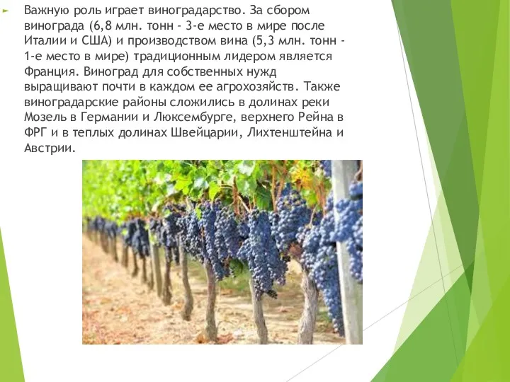 Важную роль играет виноградарство. За сбором винограда (6,8 млн. тонн
