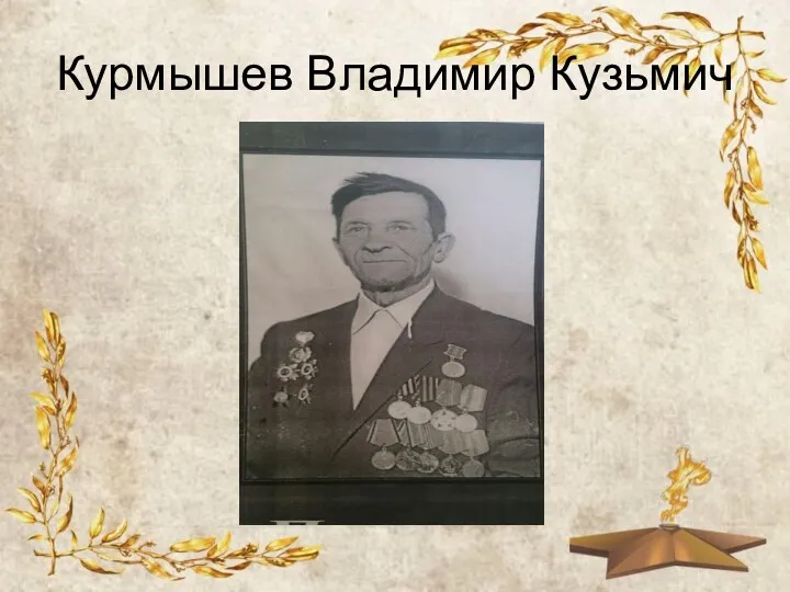 Курмышев Владимир Кузьмич
