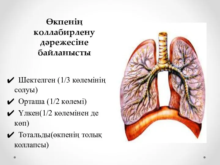 Өкпенің коллабирлену дәрежесіне байланысты Шектелген (1/3 көлемінің солуы) Орташа (1/2