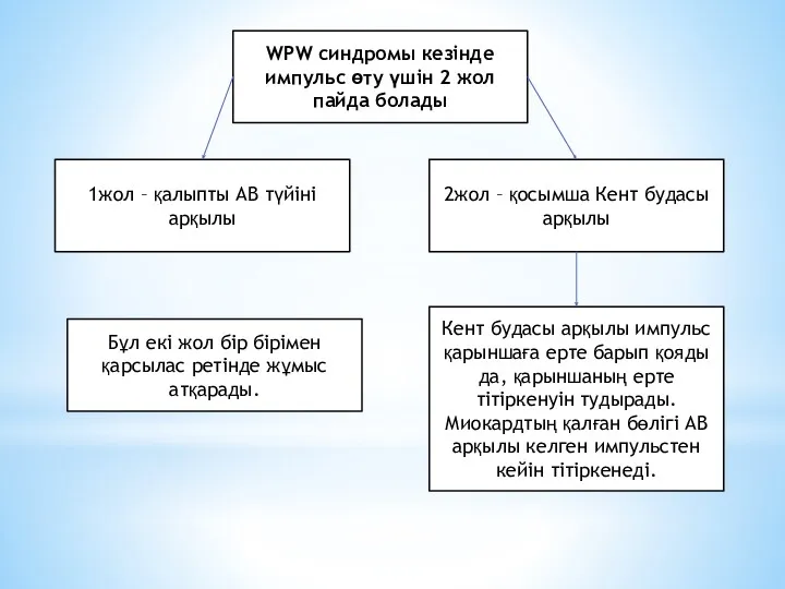 WPW синдромы кезінде импульс өту үшін 2 жол пайда болады