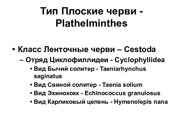 Тип Плоские черви - Plathelminthes Класс Ленточные черви – Cestoda