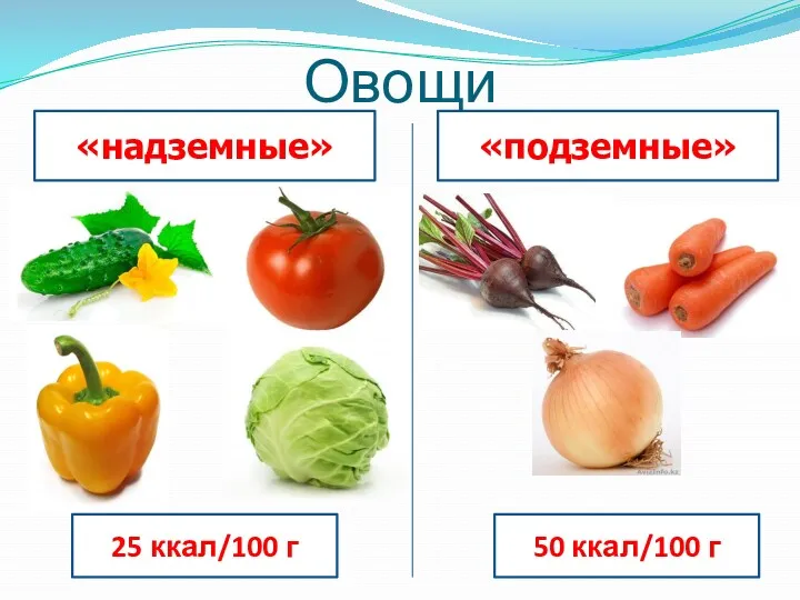 Овощи «надземные» 25 ккал/100 г «подземные» 50 ккал/100 г