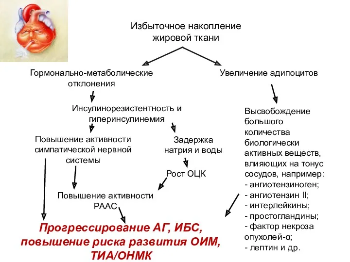 Избыточное накопление жировой ткани Гормонально-метаболические отклонения Инсулинорезистентность и гиперинсулинемия Задержка