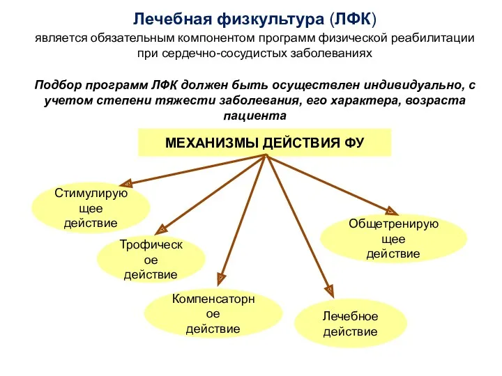 МЕХАНИЗМЫ ДЕЙСТВИЯ ФУ Стимулирующее действие Трофическое действие Компенсаторное действие Лечебное