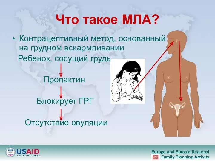 Что такое МЛА? Контрацептивный метод, основанный на грудном вскармливании Ребенок, сосущий грудь Пролактин