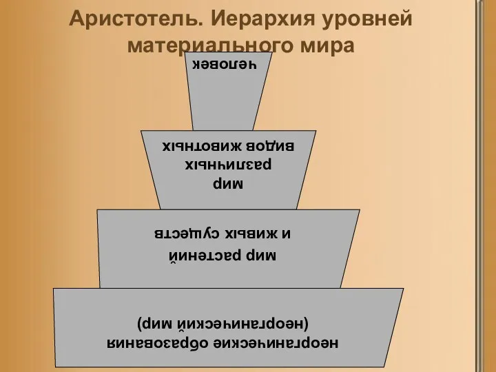 Аристотель. Иерархия уровней материального мира