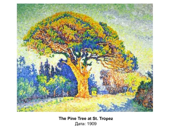 The Pine Tree at St. Tropez Дата: 1909