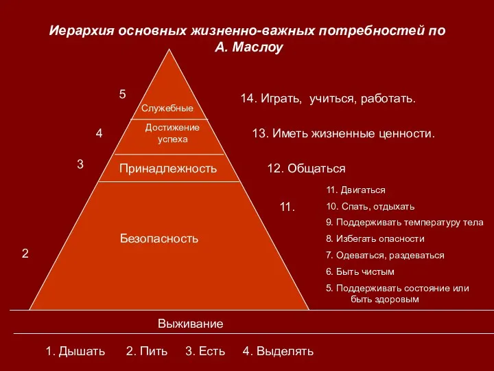 Иерархия основных жизненно-важных потребностей по А. Маслоу 11. Двигаться 10.