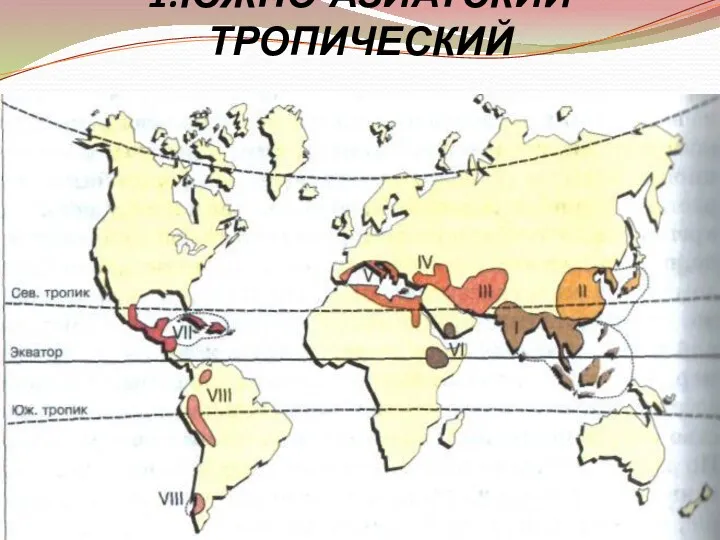 1.ЮЖНО-АЗИАТСКИЙ ТРОПИЧЕСКИЙ