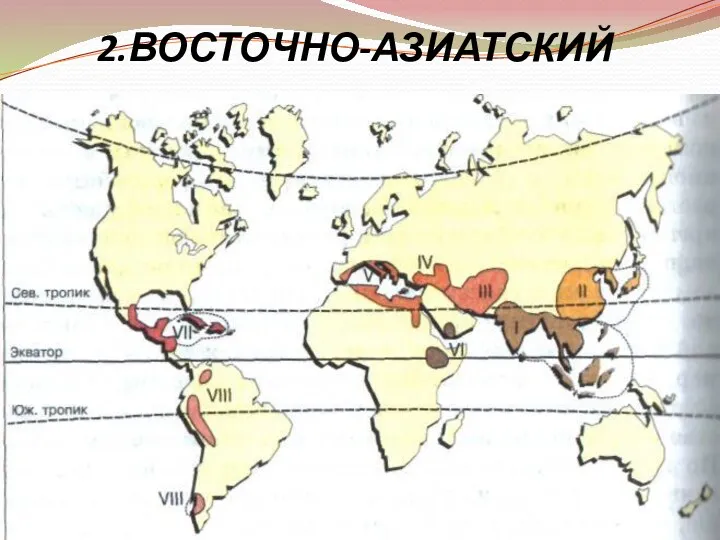 2.ВОСТОЧНО-АЗИАТСКИЙ