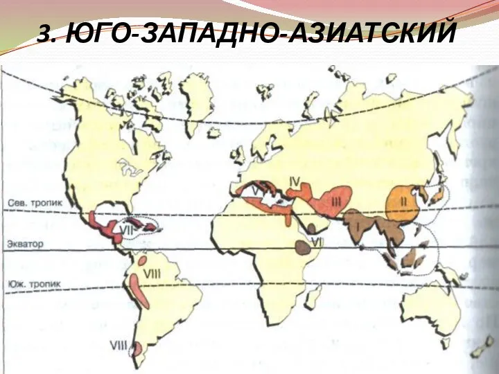 3. ЮГО-ЗАПАДНО-АЗИАТСКИЙ