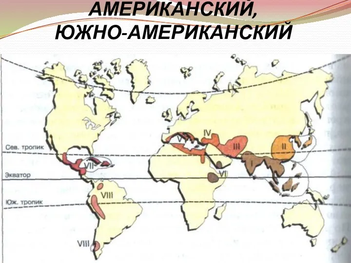 6-7. ЦЕНТРАЛЬНО-АМЕРИКАНСКИЙ, ЮЖНО-АМЕРИКАНСКИЙ