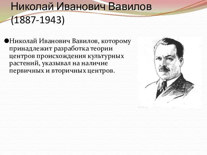 Николай Иванович Вавилов (1887-1943) Николай Иванович Вавилов, которому принадлежит разработка