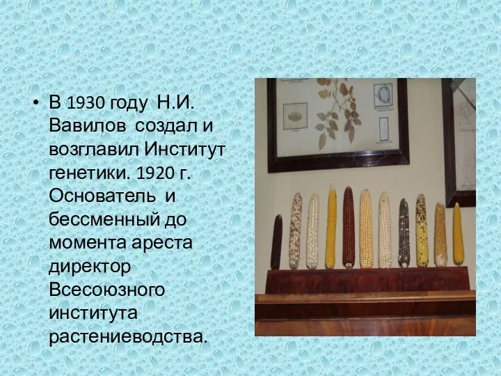 В 1930 году Н.И.Вавилов создал и возглавил Институт генетики. 1920