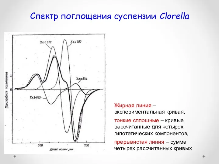Спектр поглощения суспензии Clorella Жирная линия – экспериментальная кривая, тонкие