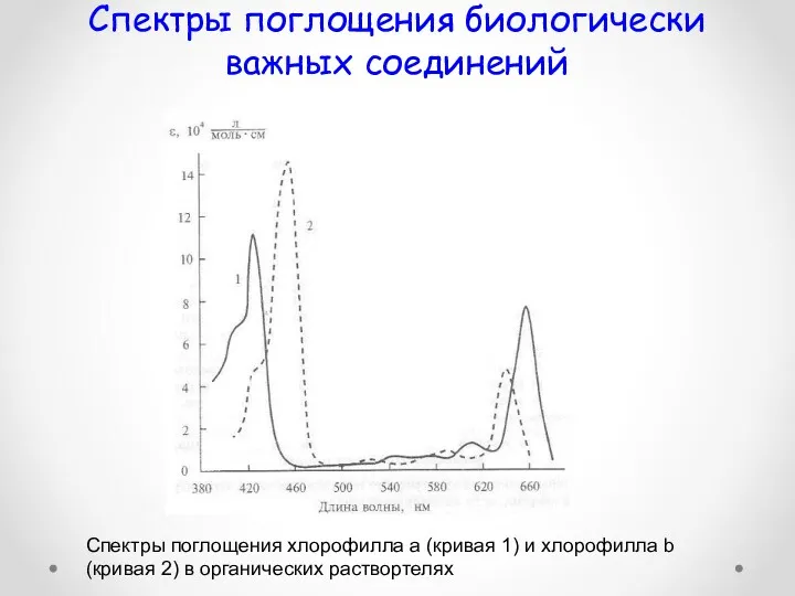 Спектры поглощения хлорофилла а (кривая 1) и хлорофилла b (кривая
