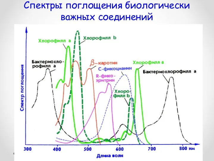 Спектры поглощения биологически важных соединений