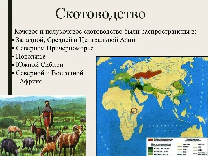 Скотоводство Кочевое и полукочевое скотоводство были распространены в: Западной, Средней