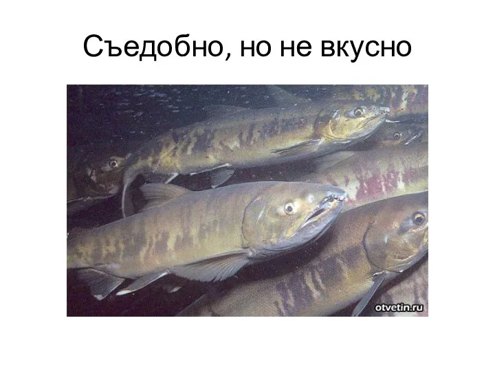 Съедобно, но не вкусно