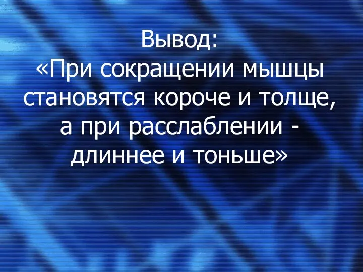 Вывод: «При сокращении мышцы становятся короче и толще, а при расслаблении - длиннее и тоньше»